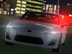 City Car Driving Simulator