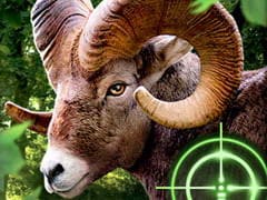 Crazy Goat Hunter 2020