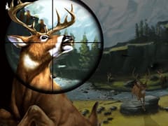 Deer Hunter