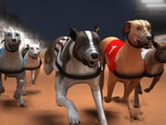 Greyhound Racing