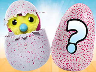 Hatchimal Eggs 