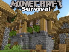 Minecraft Survival