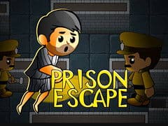 Prison Escape